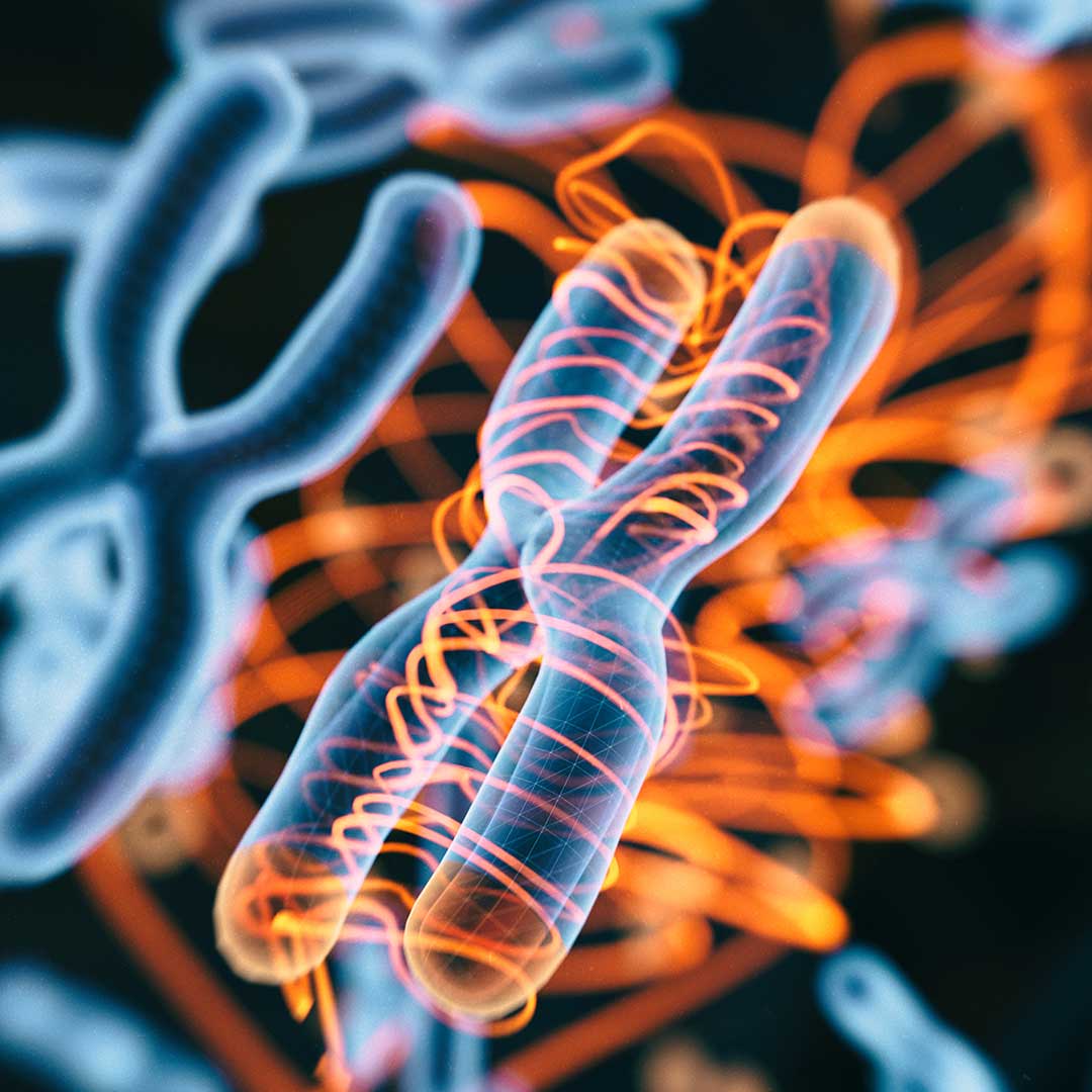 bio
